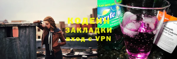 индика Михайловск