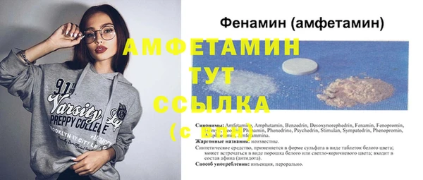 индика Михайловск