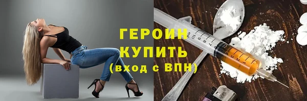 индика Михайловск