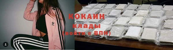индика Михайловск