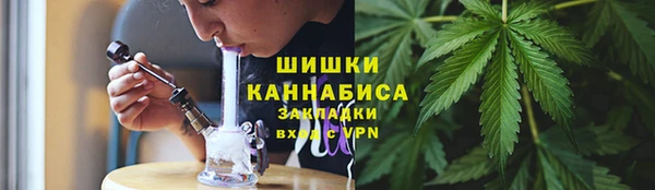 индика Михайловск