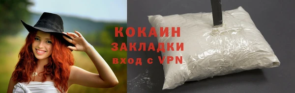 МДПВ Михайлов