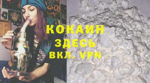 индика Михайловск