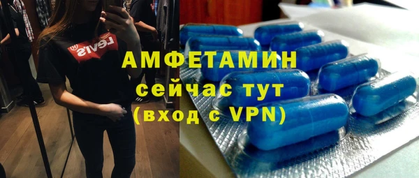 индика Михайловск