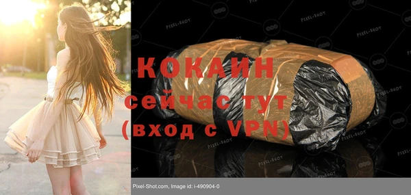 МДПВ Михайлов