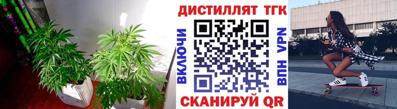 Дистиллят ТГК THC oil  Межгорье 