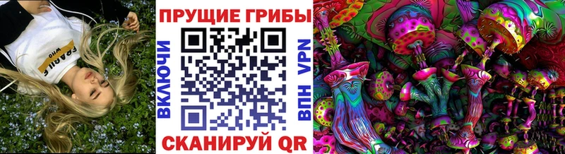 Псилоцибиновые грибы мухоморы  даркнет сайт  Межгорье 