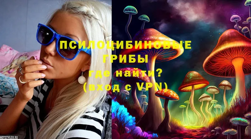 OMG как войти  Межгорье  Галлюциногенные грибы Psilocybe 